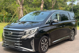 广汽传祺 传祺M8 2023款 领秀系列 390T 尊享版