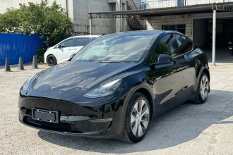 特斯拉 Model Y 2021款 标准续航后驱版