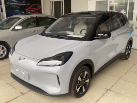 五菱汽车 五菱缤果PLUS 2024款 330km 五座版