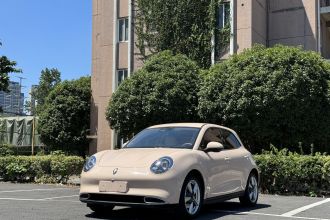 欧拉好猫 2023款 401km标准续航 豪华型 磷酸铁锂