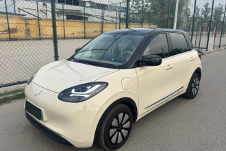 五菱汽车 五菱缤果 2025款 333km 悦享款