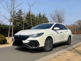 启辰D60EV 2023款 PLUS 舒适版CI型