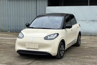 五菱汽车 五菱缤果 2025款 333km 灵犀尊享款