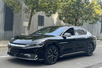 比亚迪 汉 2020款 EV 四驱高性能版旗舰型