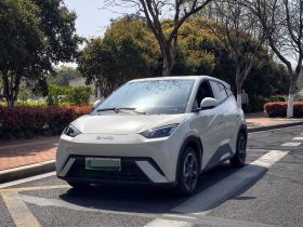 比亚迪 海鸥 2024款 荣耀版 305km 自由版