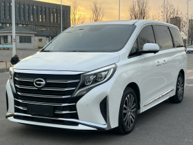 广汽传祺 传祺M8 2021款 领秀系列 390T 至尊版