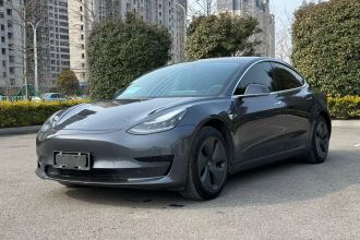 特斯拉 Model 3 2019款 标准续航后驱升级版