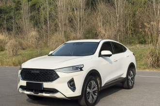 哈弗F7x 2019款 1.5T 两驱极智科技版