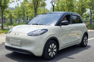 五菱汽车 五菱缤果 2024款 333km 悦享款