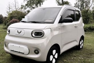 五菱汽车 宏光MINIEV 2024款 第三代 215km 进阶版