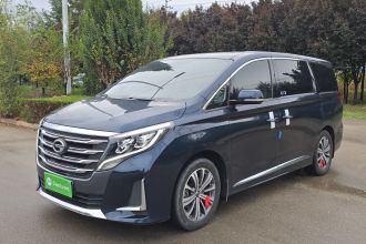 广汽传祺 传祺M8 2020款 领航款 390T 尊贵版