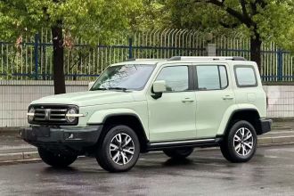 坦克300 2021款 城市版 2.0T 很有型