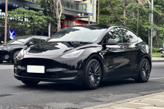 特斯拉 Model Y 2022款 Performance高性能全轮驱动版