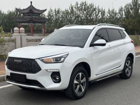 哈弗H6 Coupe 2020款 智联版 1.5T 自动两驱豪华智联型
