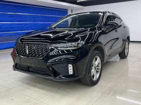 魏牌 VV5 2020款 1.5T 两驱颜先锋