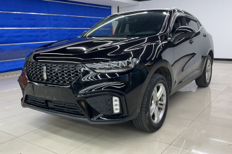 魏牌 VV5 2020款 1.5T 两驱颜先锋