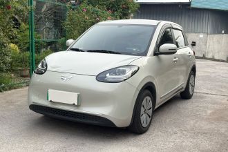 五菱汽车 五菱缤果 2023款 203km 轻享款