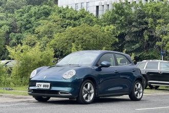 欧拉好猫 2021款 400km标准续航 维纳斯版 磷酸铁锂