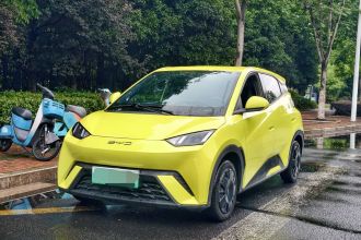 比亚迪 海鸥 2024款 荣耀版 305km 活力版
