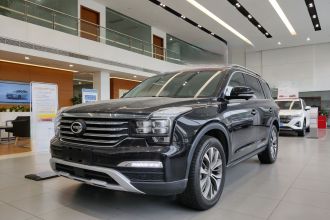 广汽传祺 传祺GS8 2017款 320T 两驱豪华智联版（七座）