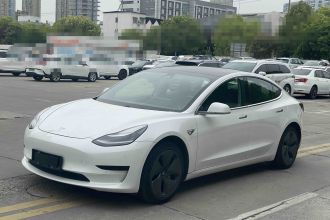 特斯拉 Model 3 2020款 标准续航后驱升级版