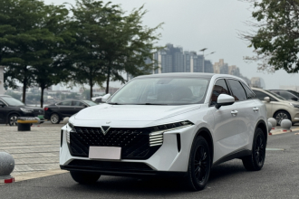 启辰大V 2022款 260T 定制版·爱豆