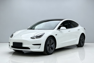 特斯拉 Model 3 2019款 标准续航后驱升级版