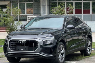 奥迪Q8  55 TFSI 豪华动感型