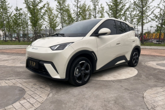 比亚迪 海鸥 2023款 飞翔版