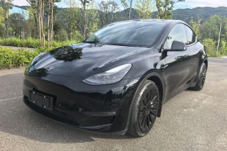 特斯拉 Model Y 2021款 标准续航后驱版
