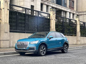 奥迪Q2L e-tron 2019款 Q2L e-tron 纯电智享型