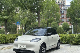 五菱汽车 五菱缤果 2024款 333km 悦享款