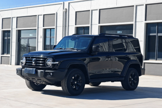 坦克300 2023款 越野版 2.0T 征服者