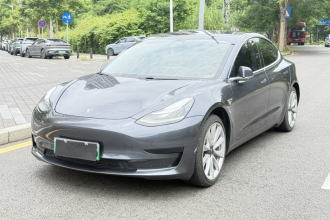特斯拉 Model 3 2019款 标准续航后驱升级版