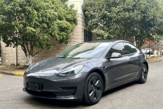 特斯拉 Model 3 2021款 改款 标准续航后驱升级版 3D1