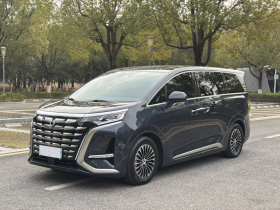 腾势D9 2022款 DM-i 970 四驱尊荣型