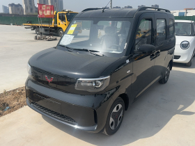 五菱汽车 五菱之光新能源 2025款 305km 进取型