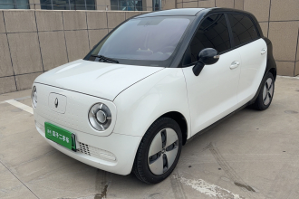 欧拉黑猫 2022款 改款 301km 萌宠版 磷酸铁锂
