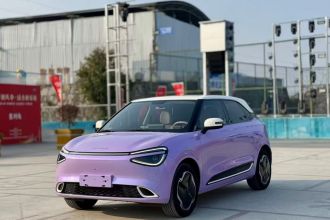 东风纳米 纳米01 2024款 330 Plus智+