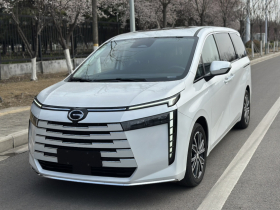 广汽传祺 传祺E8 2024款 荣耀系列 2.0L 荣耀版