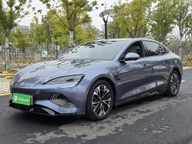 比亚迪 海豹 2023款 冠军版 550km 精英型