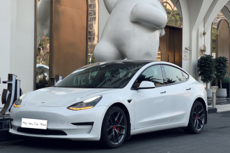特斯拉 Model 3 2021款 改款 Performance高性能全轮驱动版 3D1