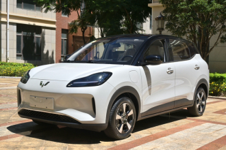 五菱汽车 五菱缤果PLUS 2024款 401km 五座版