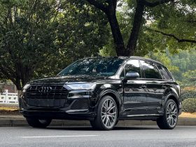 奥迪Q7 2023款 55 TFSI quattro S line冰雪运动版