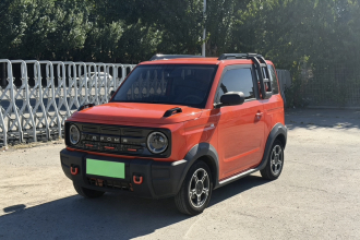 吉利银河 2024款 200km 熊猫骑士