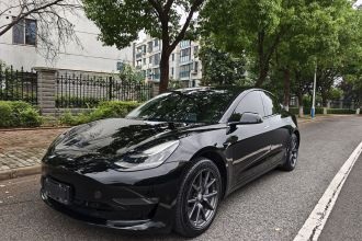 特斯拉 Model 3 2020款 改款 长续航后轮驱动版