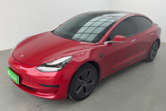 特斯拉 Model 3 2020款 标准续航后驱升级版