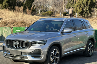 吉利汽车 星越L 2021款 2.0TD DCT EVO两驱尊贵型