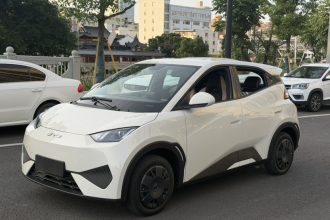 比亚迪 海鸥 2025款 智驾版 305km 活力版