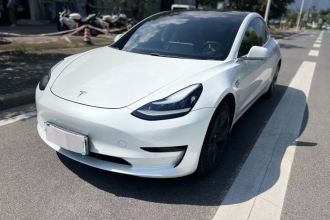 特斯拉 Model 3 2020款 标准续航后驱升级版